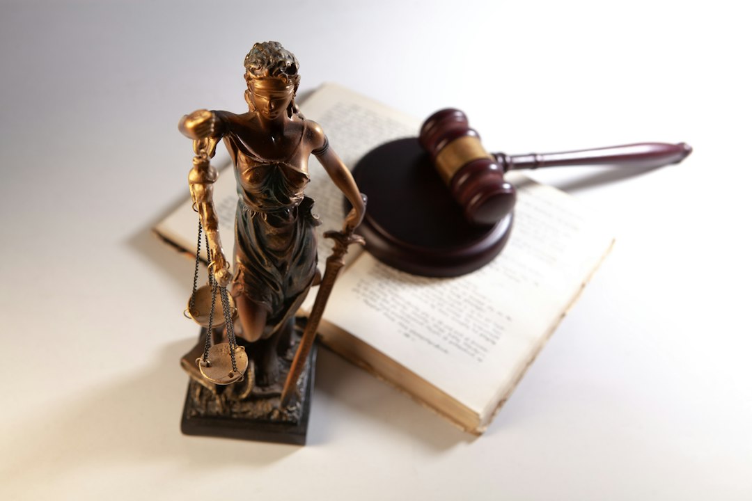 Expert Patent Application Support for Confident Innovation Protection